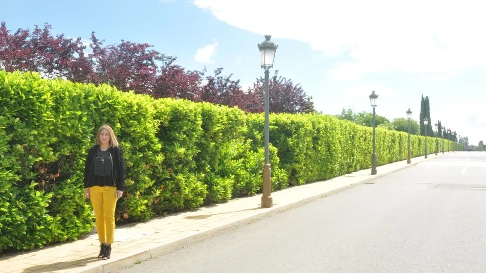 La concejal del área, Marta Labrador.