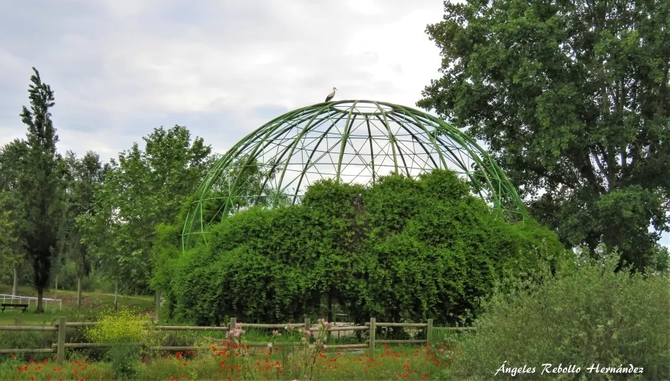 Hacia el cenit del verano