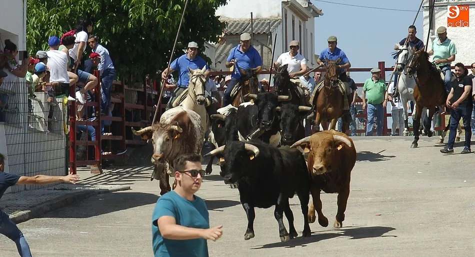 Uno de los momentos del encierro a caballo en Campillo de Azaba/Fotos: Adrián Martín