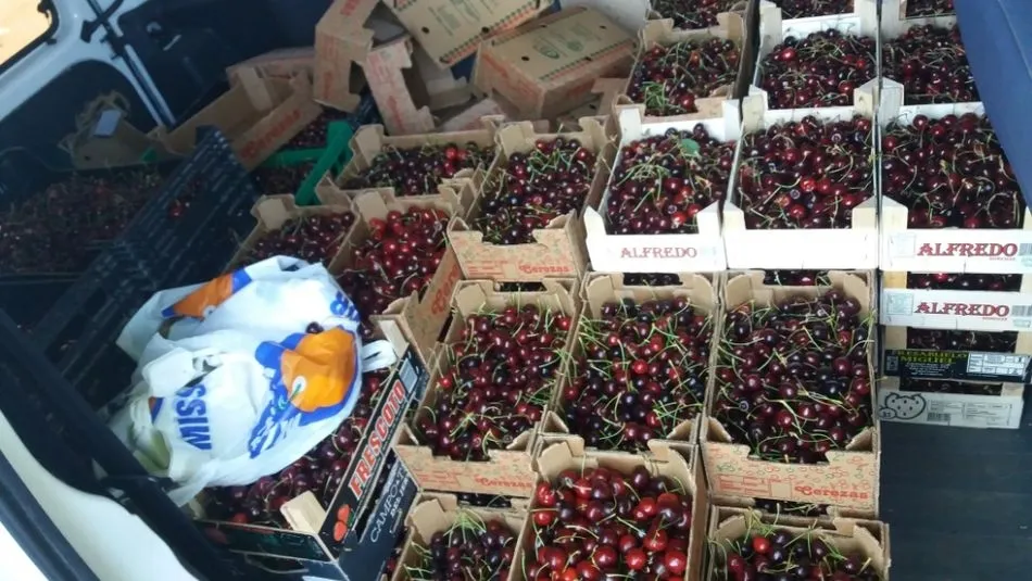 Productos incautados en Aldehuela