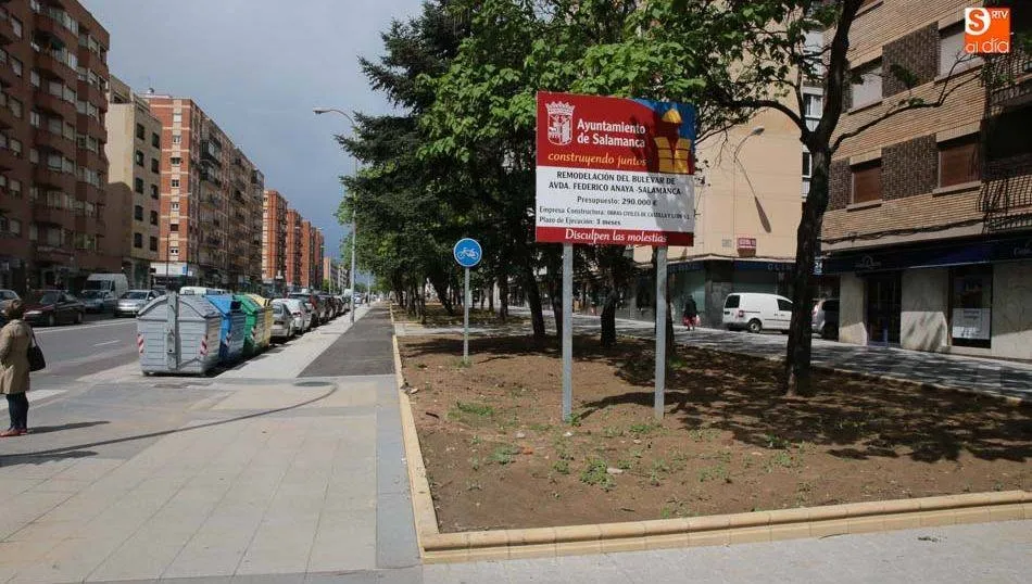 La actuación ha contado con un presupuesto de 290.000 euros