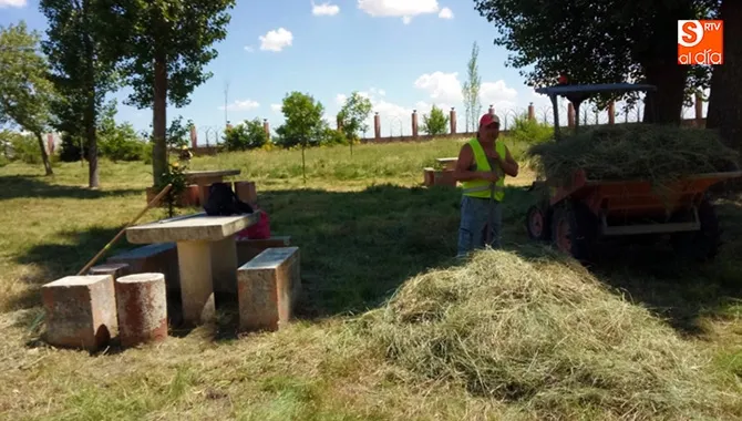 Operarios del Ayuntamiento limpian y desbrozan el parque El Inestal