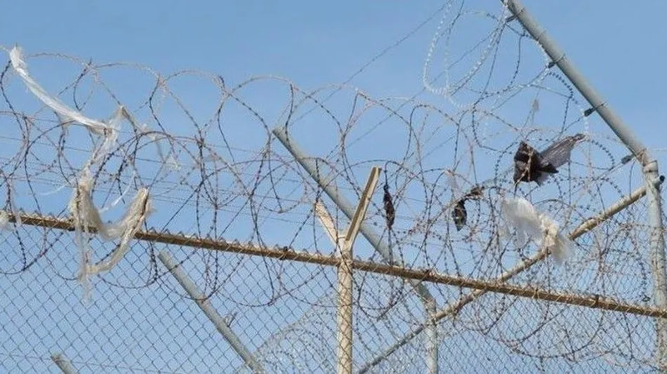 ¿Qué está usted dispuesto a pagar?