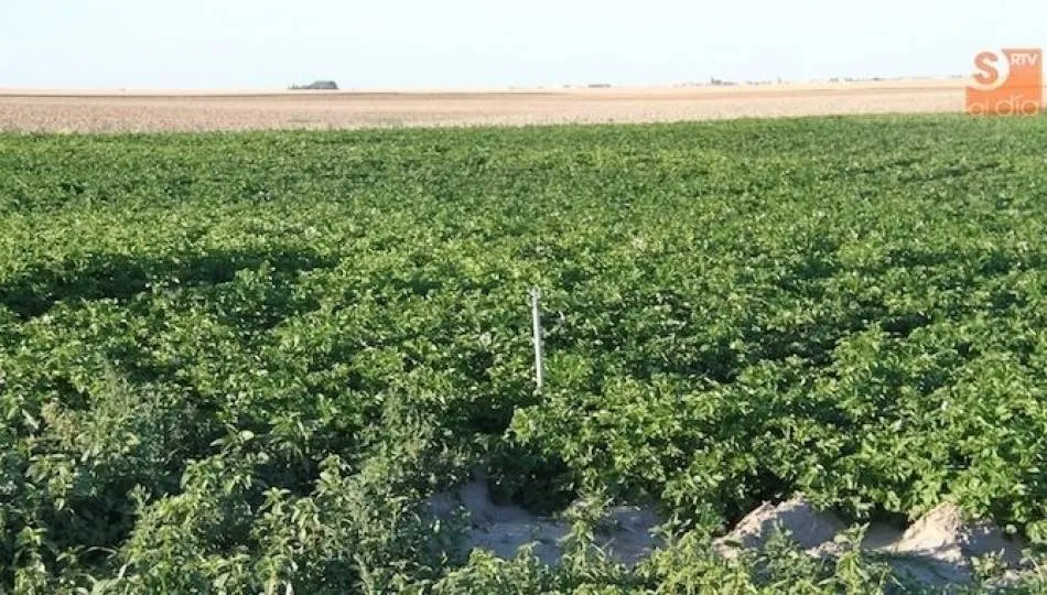 La modernización de las explotaciones, objetivo de las ayudas de la Junta