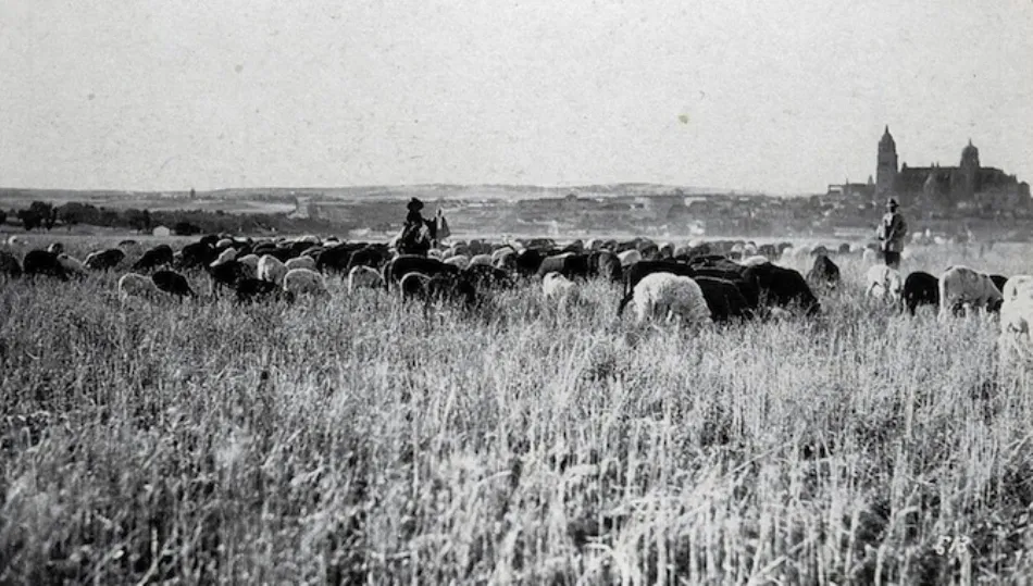 Los pastores a las afueras de Salamanca