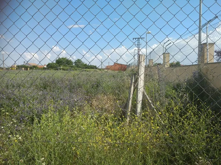 El Partido Popular se hace eco de las quejas vecinales por la complicada situación que presentan algunas de las zonas verdes de la ciudad