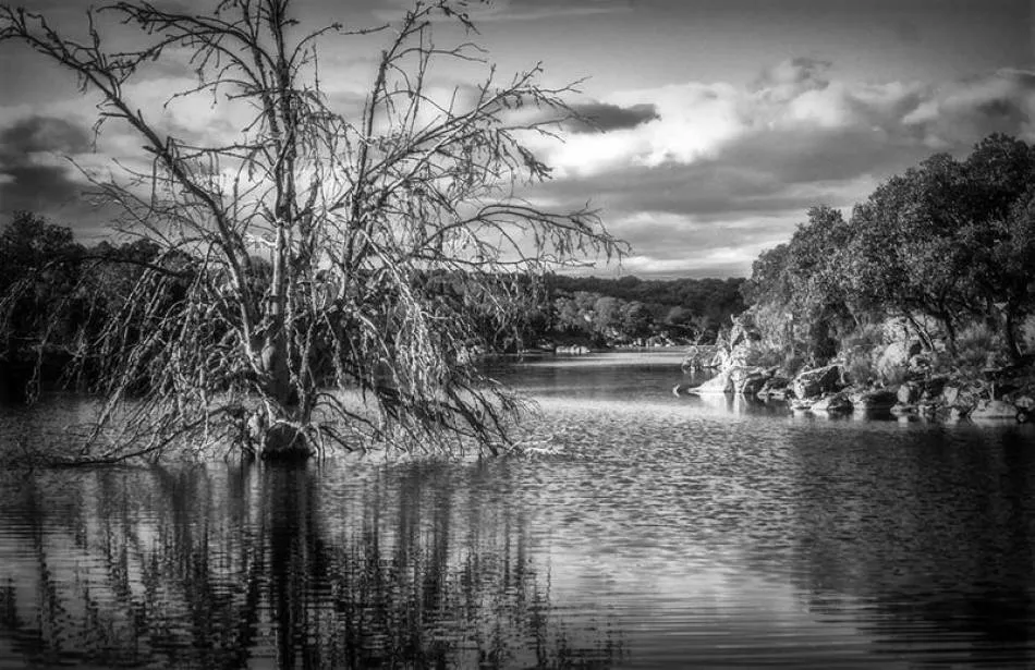 ‘Resurgimiento’, de Belén Rodríguez, foto ganadora de la pasada edición del certamen fotográfico ‘El Pantano y su entorno’