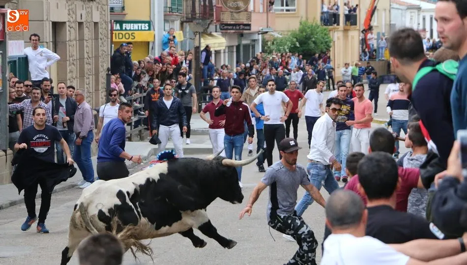 Las imágenes seleccionadas conformarán el calendario 2019 de la Asociación Taurina
