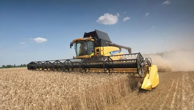 En pocos días comienza la cosecha de cereales de invierno en Salamanca