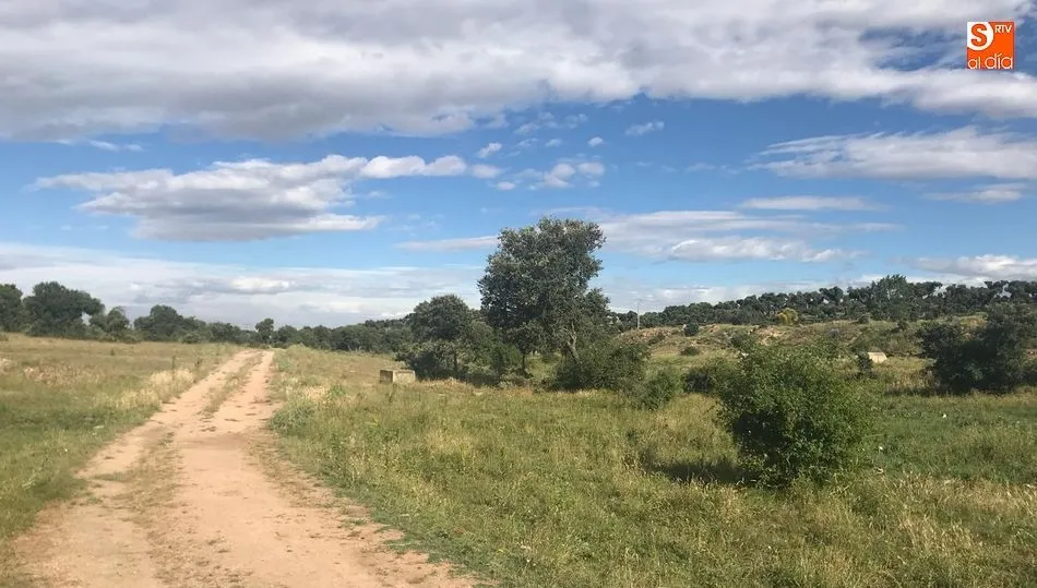 Zona de Terradillos donde apareció el cuerpo. Fotos: Roberto Jiménez
