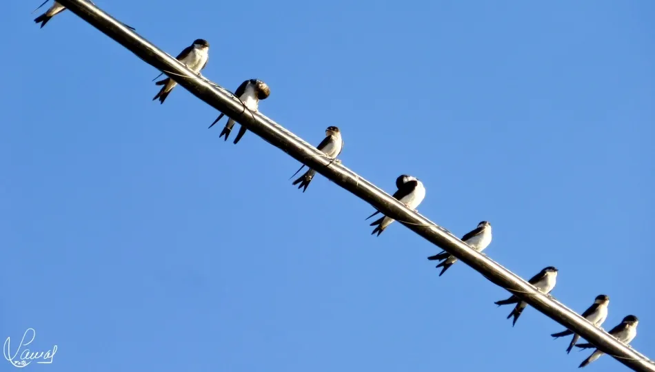 El disfrute de las vistas