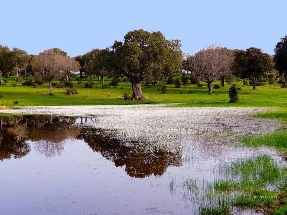 En la sombra, yo te espero