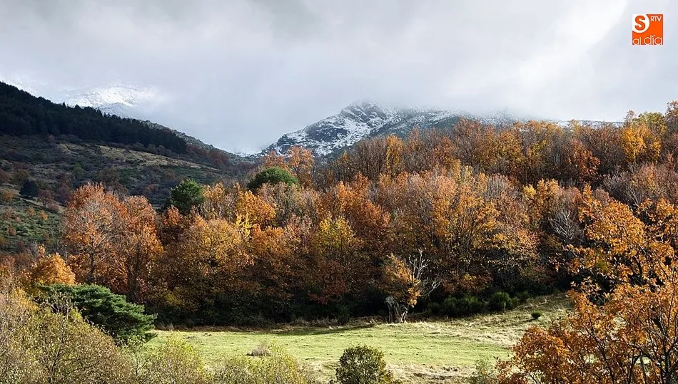 Sierra de Béjar / FOTO: MANUEL LAMAS