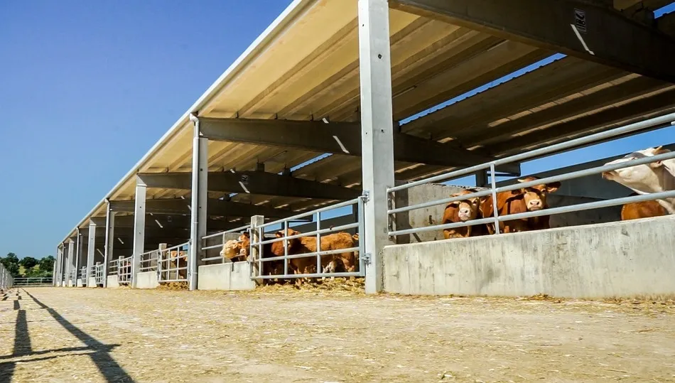 Cebadero de terneros de Dehesa Grande en Peralejos de Abajo