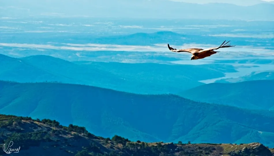 El placer de la libertad