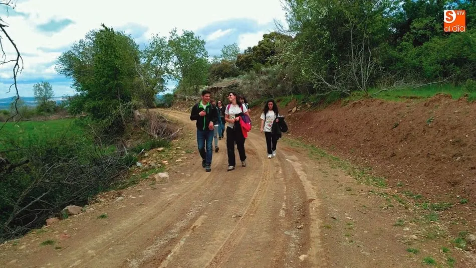 Los caminos hacia los molinos serán debidamente señalizados en los alrededores de Navarredonda de la Rinconada