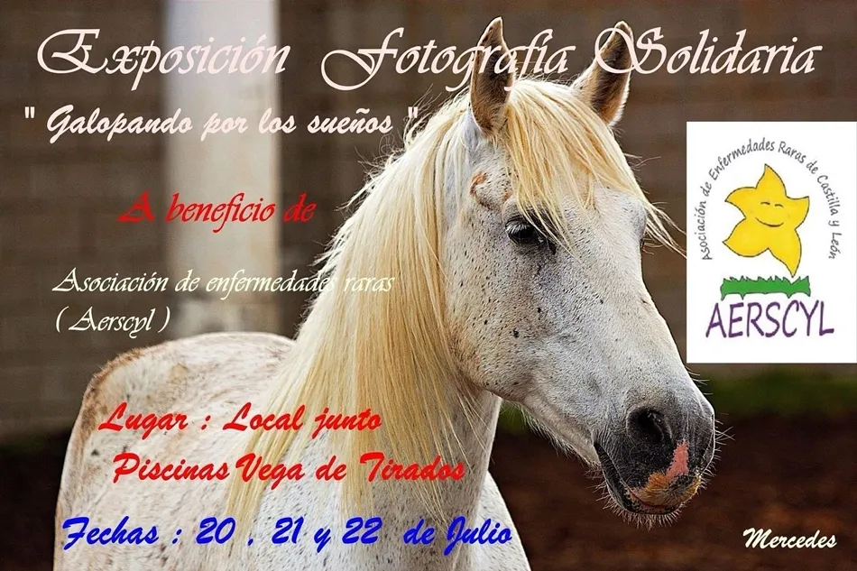 Exposición de fotografía Galopando por los sueños.