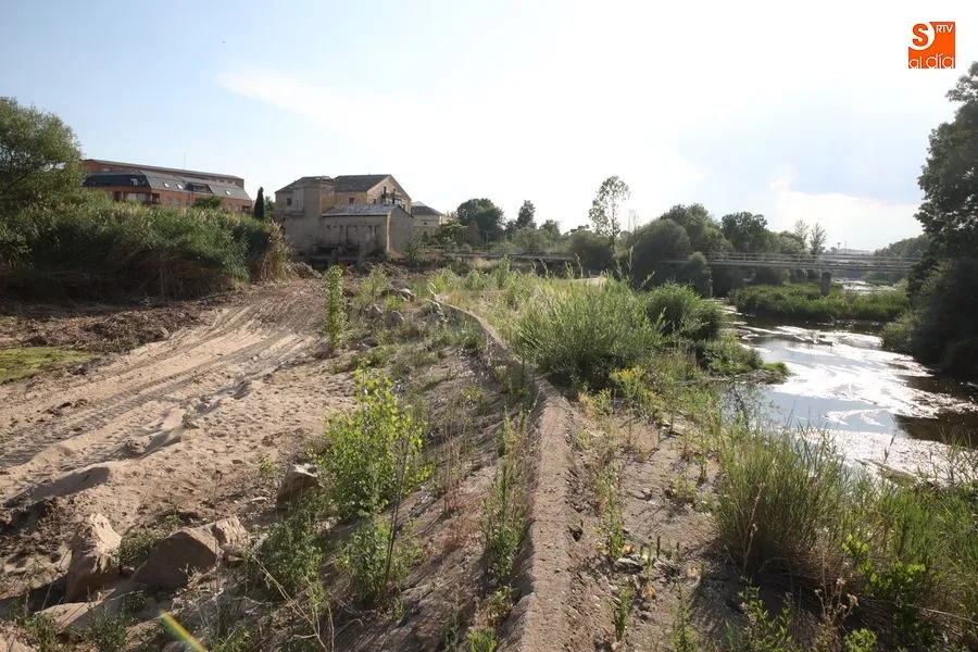 La reparación de la pesquera de Tejares, más cerca tras años rota. Fotos: Alberto Martín