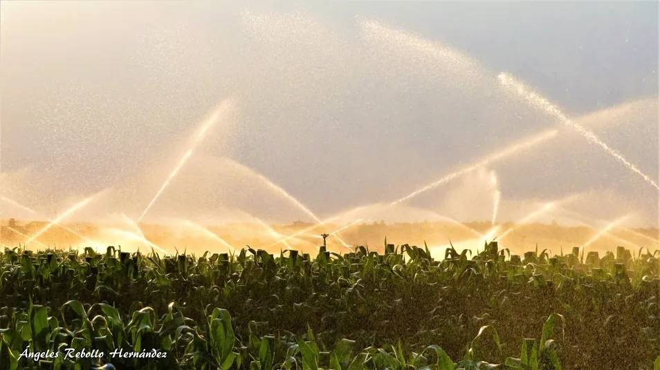 La melodía de las aguas