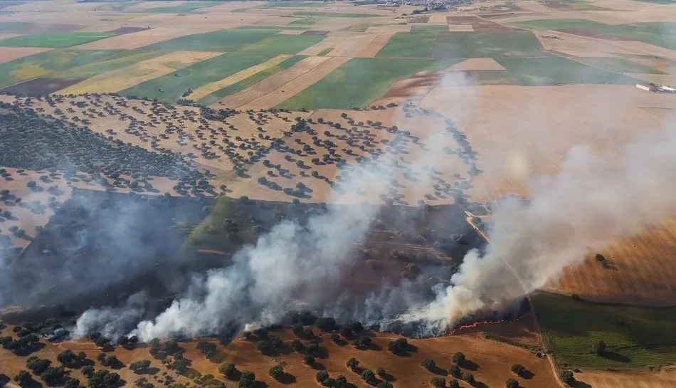 Incendio en Cantalpino. Foto jcyl