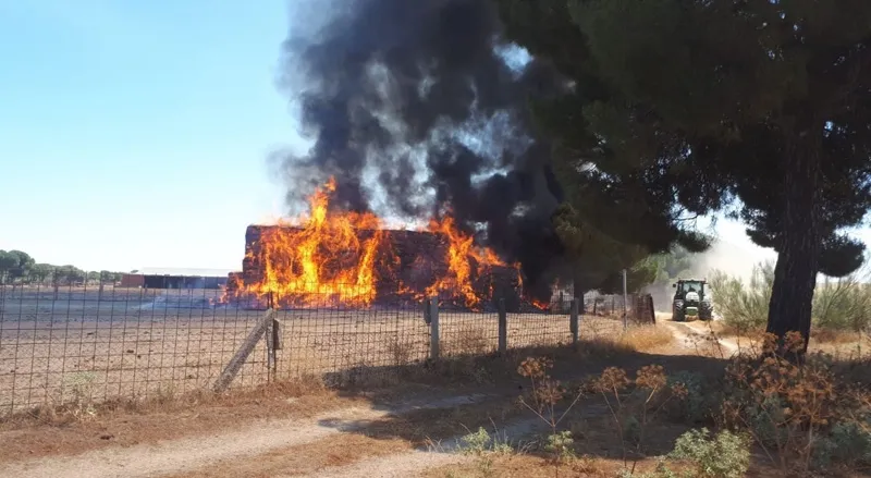 Un aparatoso incencido calcinaba en torno a 70 pacas de paja en Paradinas de San Juan
