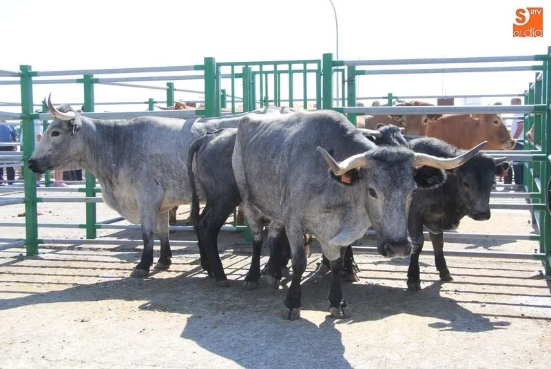 La Consejería de Agricultura destina 120.000 euros a impulsar y conservar las razas autóctonas