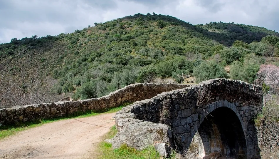 Historia petrificada