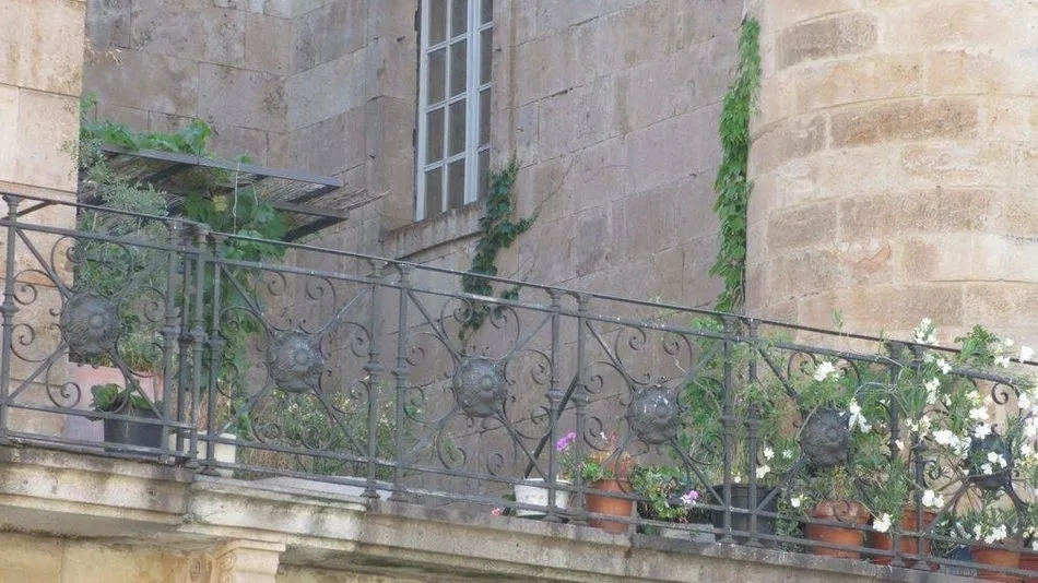 Aspecto de las enredaderas de la vivienda colindante en fotografías utilizadas por la Asociación para hacer su denuncia.