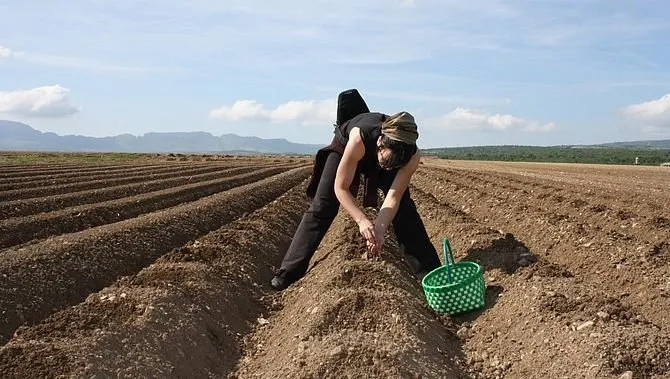 Una agricultora realizando labores de siembra