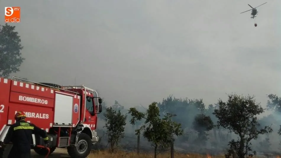 Imagen de archivo de efectivos en labores de extinción de incendios forestales