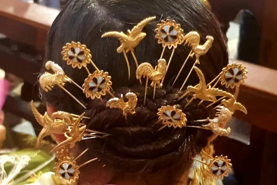 Moño de oro en Mogarraz  