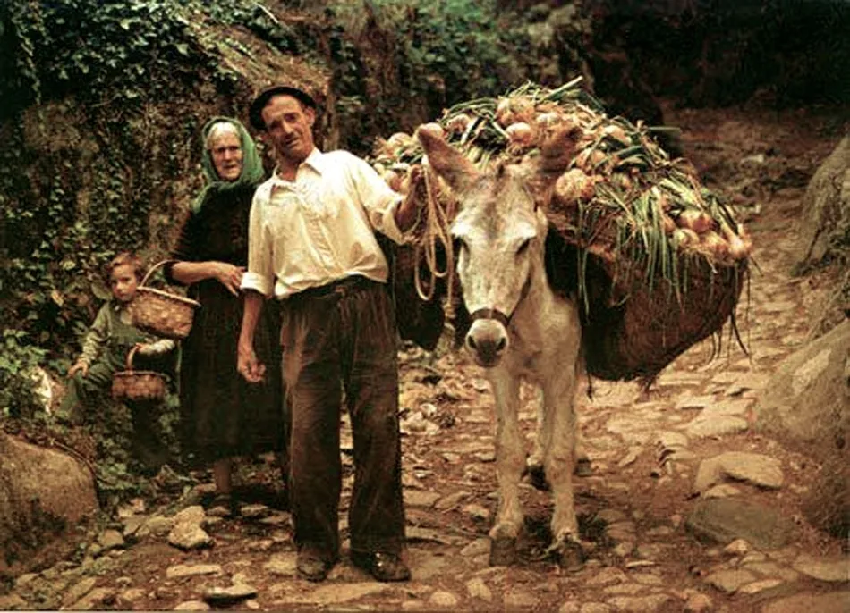 Jenaro y Goya (Albercanos)