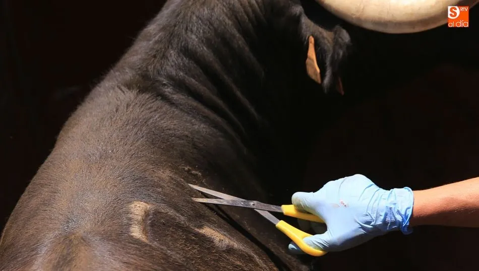 Las ganaderías de extensivo tendrán que pasar una auditoría de bioseguridad, según el borrador. Foto: Alberto Martín