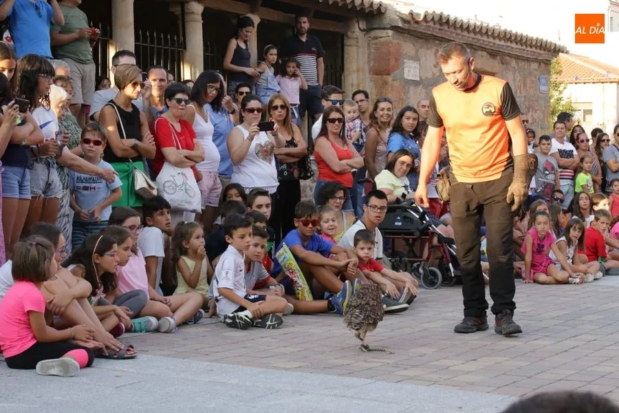 Espectáculo de cetrería en Carbajosa / Foto: Alberto Martín.