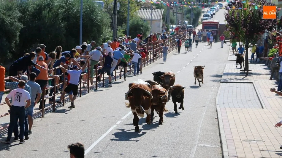 A pesar de ser sábado, se vieron menos corredores en el encierro de Ignacio López-Chaves / CORRAL
