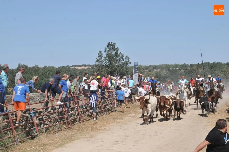 Bonito encierro a caballo el primero de Lumbrales / ESTER CORREDERA