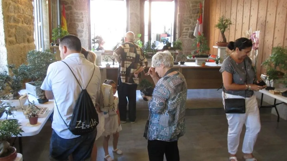 Curiosa colección de bonsáis de José Castro en Villavieja de Yeltes   