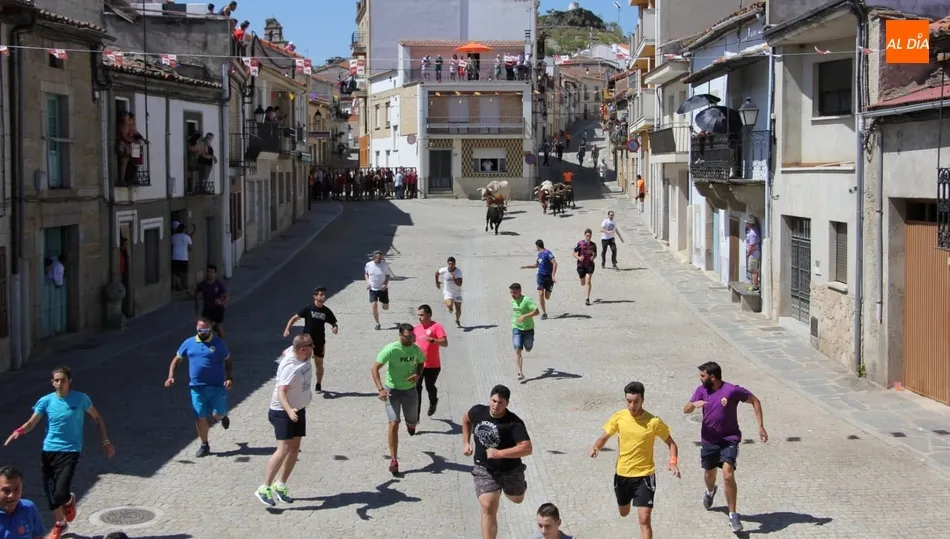 Bonito y rápido el encierro de Rollanejo, segundo y último de las fiestas de Vilvestre / MARIBEL SÁNCHEZ