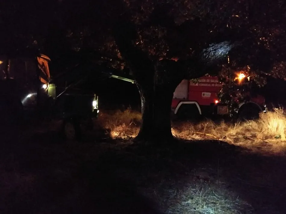 El rayo impactó en las ramas de este roble que comenzó a arder. Foto: Bomberos de Guijuelo