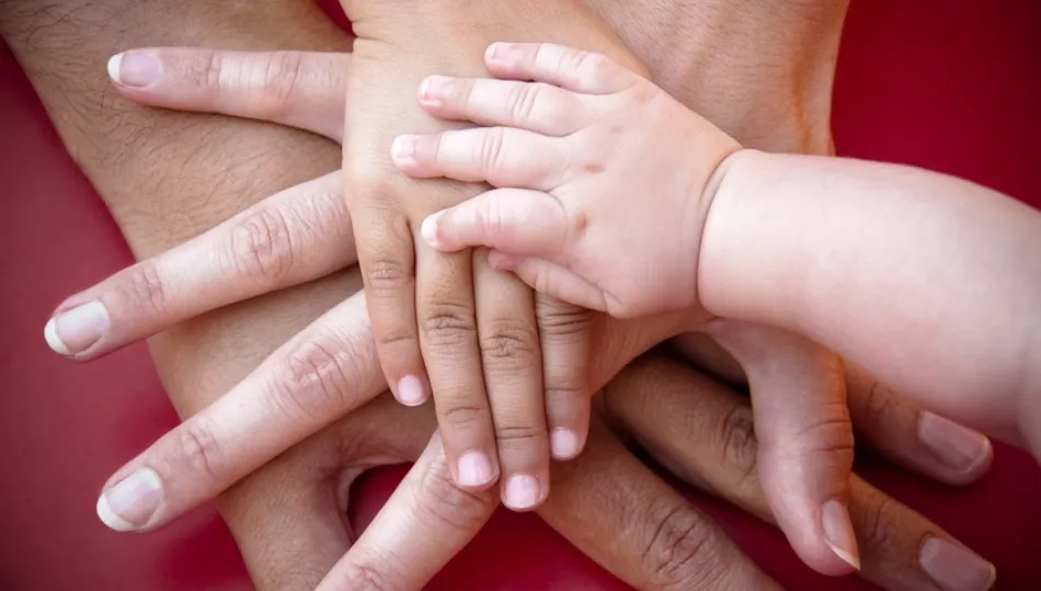 Entre las intervenciones que se prestan en el punto de encuentro destaca el apoyo en el cumplimiento del régimen de visitas establecido, orientación a las familias y a los menores, promoción de acuerdos y resolución de conflictos a través de la mediación