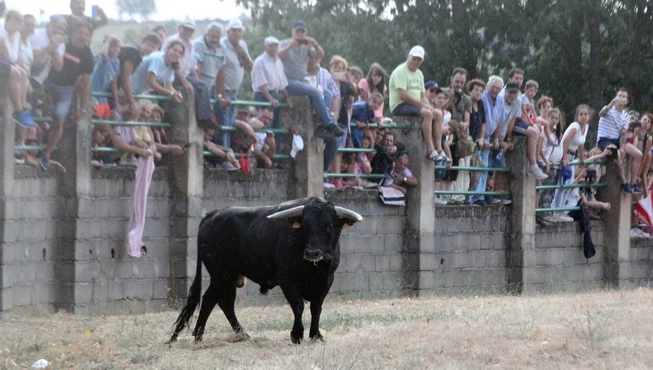 Buen mozo de Raquel Rodríguez Valrubio / CORRAL