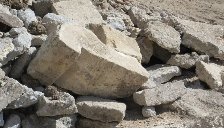 Algunas de las piezas localizadas en las obras de la plaza de los Leones