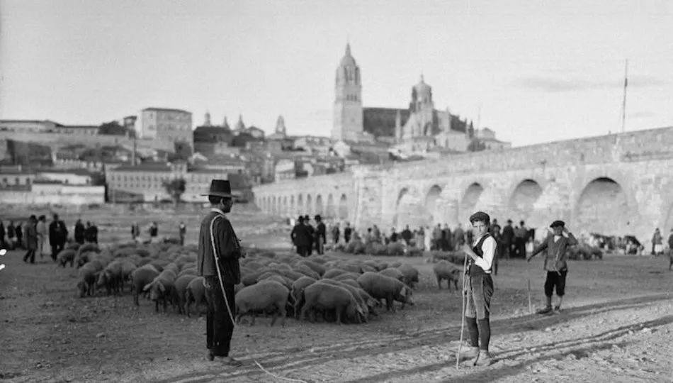 Los tratantes de ganado en los años 20
