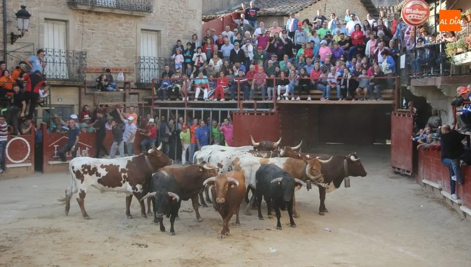 Novillada de Valrubio, Mención Especial por su presentación y comportamiento en la plaza