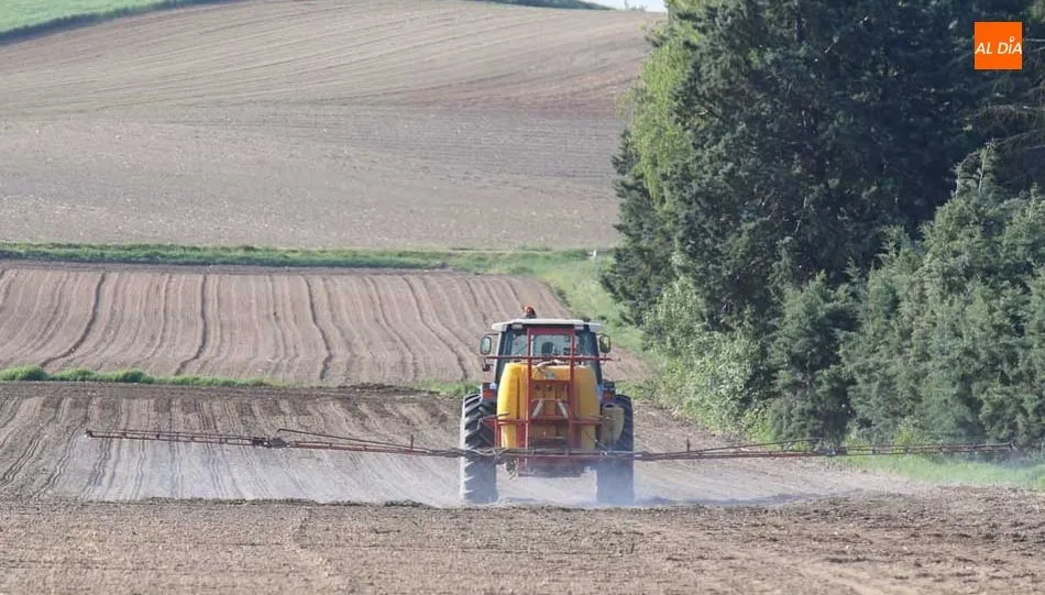 La Alianza hace un llamamiento a los agricultores para que controlen la aplicación de abonos. Foto: Alberto Martín