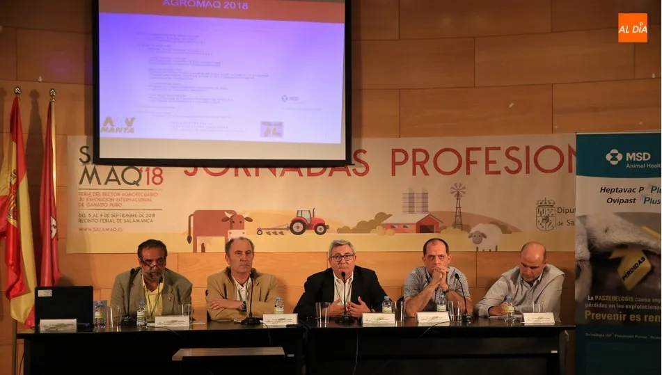 Jornadas profesionales sobre producción animal y sostenibilidad. Fotos: Alberto Martín