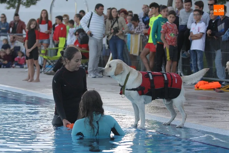 La piscina municipal cierra la temporada con una exhibición canina