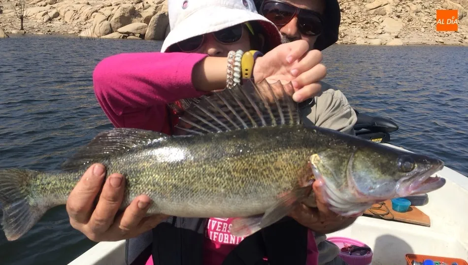 La nieta de Eladio nos muestra la aleta dorsal de esta estupenda lucioperca