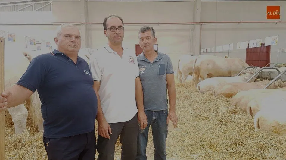 Basile Niga, Alberto Martín y Pedro Chapinal, rivales y amigos, en la nueva nave del charolés