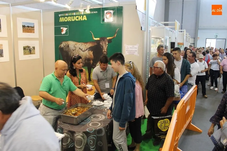 Reparto de raciones en la degustación de carne de morucha, en Salamaq